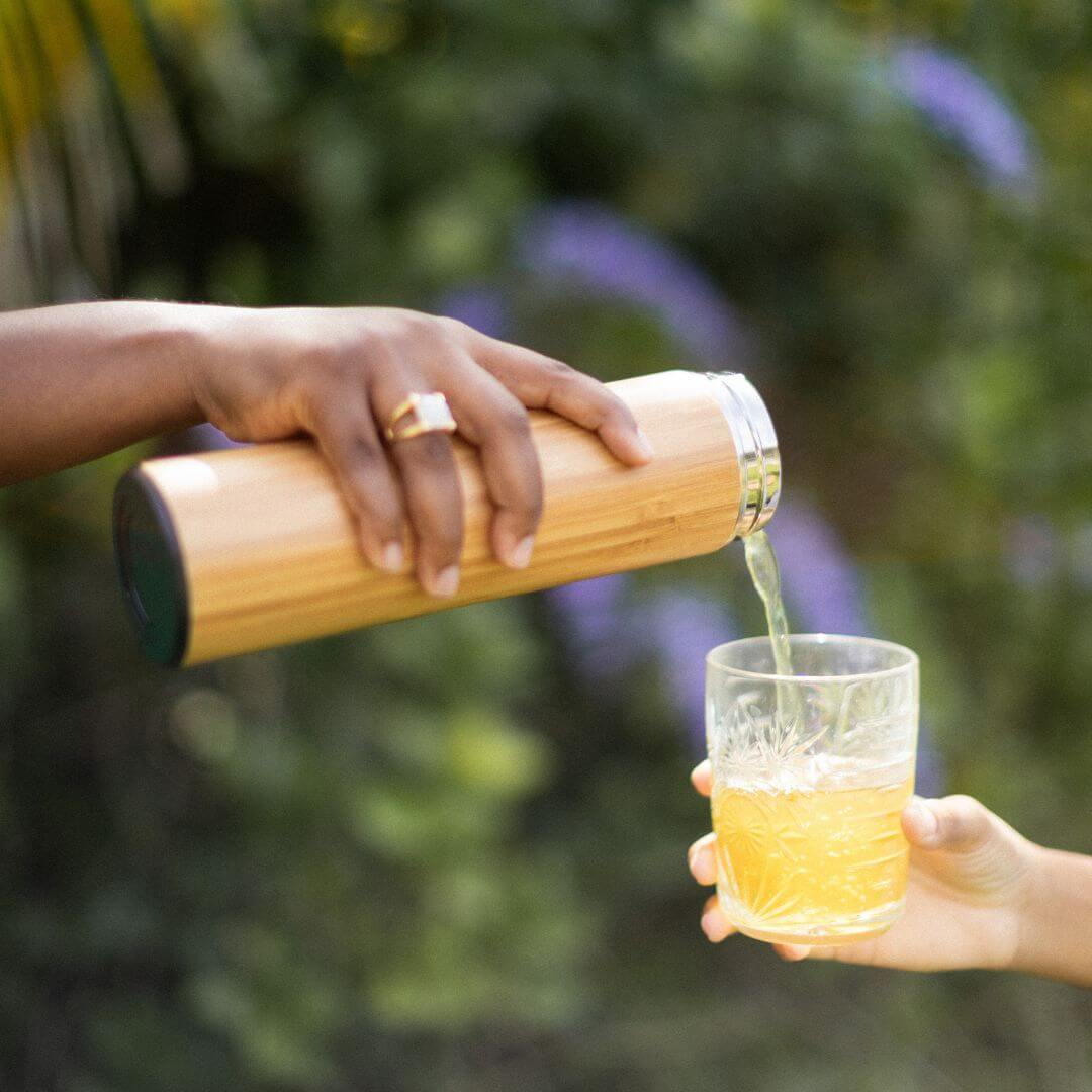 Thermos Isotherme Well&