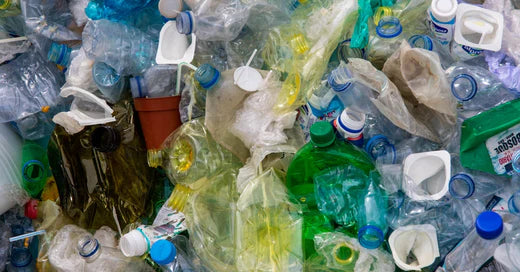 L'impact environnemental et sanitaire des contenants alimentaires en plastique.